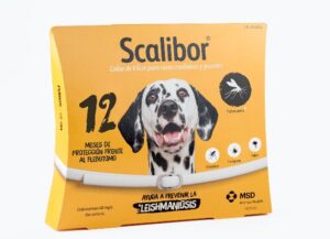 SCALIBOR