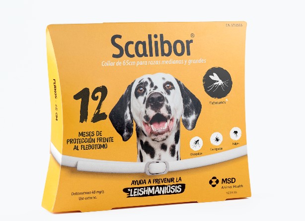 SCALIBOR