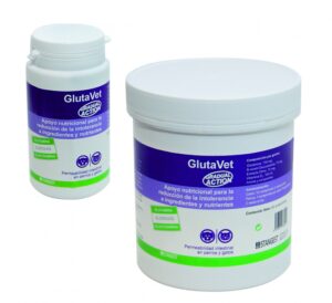 Glutavet 60 Comprimidos