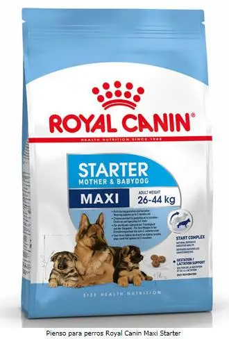 Royal Canin Starter Maxi 15 kg