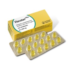 Viacutan Plus 4 × 10 Caps 550 mg