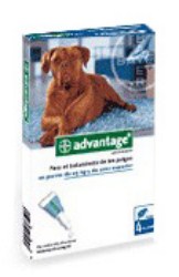 Advantage Perro 250 mg 10-25 kg 4PIP