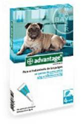 Advantage Perro 100 mg 4-10 kg 4PIP