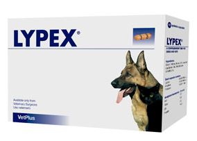 Lypex Blister 60 Cápsulas