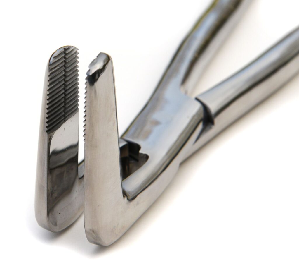 Fórceps para fragmentos 3 puntas izquierdo · odontología equina