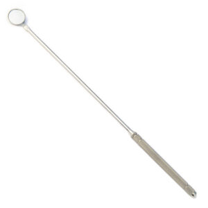 Espejo dental pequeño de cabeza fija 25 mm · odontología equina