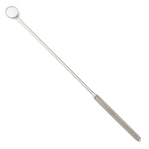 Espejo dental pequeño de cabeza fija 25 mm · odontología equina