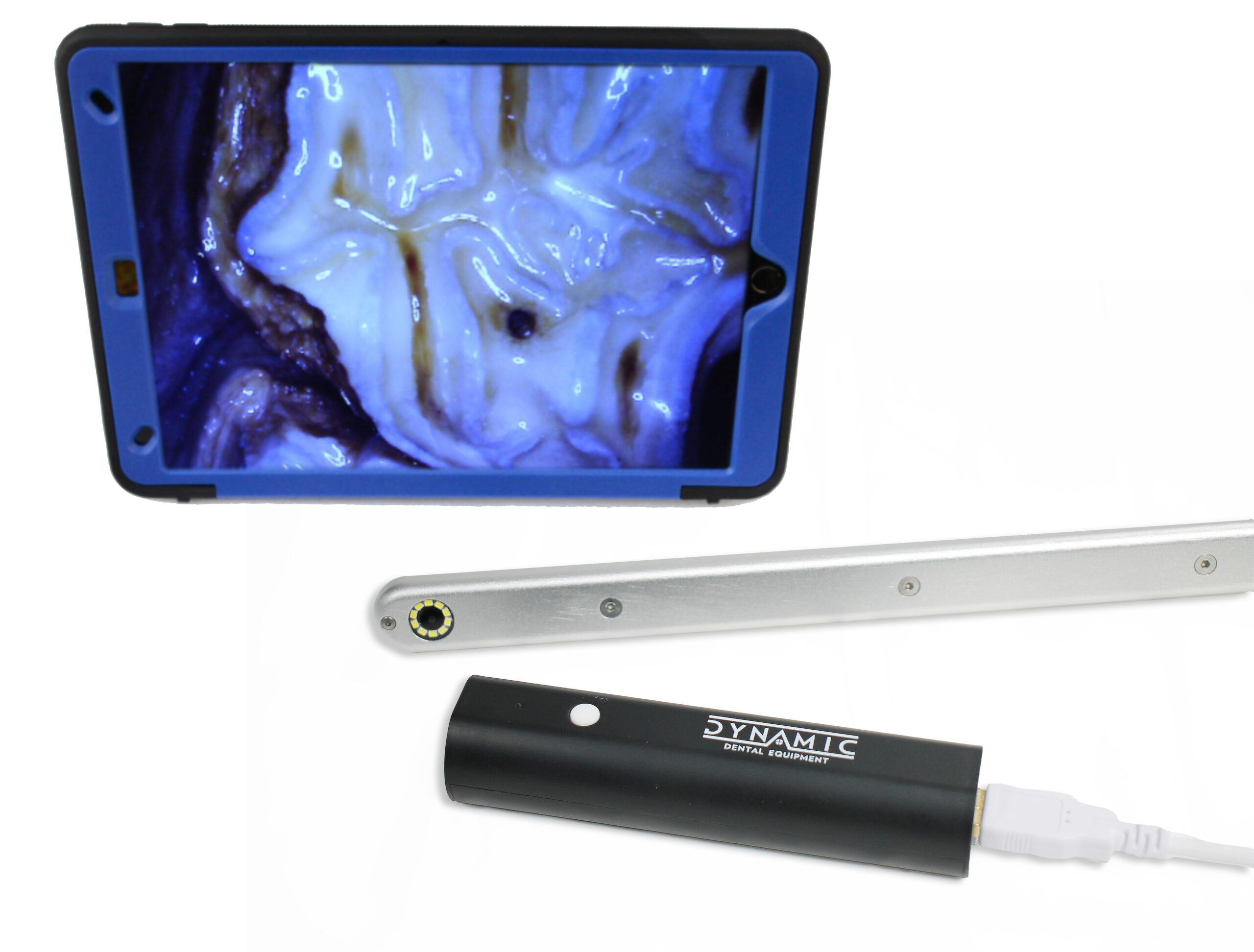 Cámara intraoral Full HD Dynamic · exploración dental equina