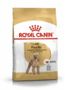 Royal Canin Adulto Caniche 1,5 kg – Nutrición premium para perros poodle