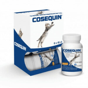 Advance Cosequin Gatos MSM HA 1 × 45 Cápsulas