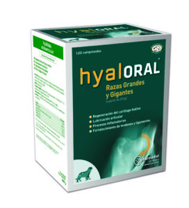 Hyaloral Perro Raza Grande y Gigante 120 Compd