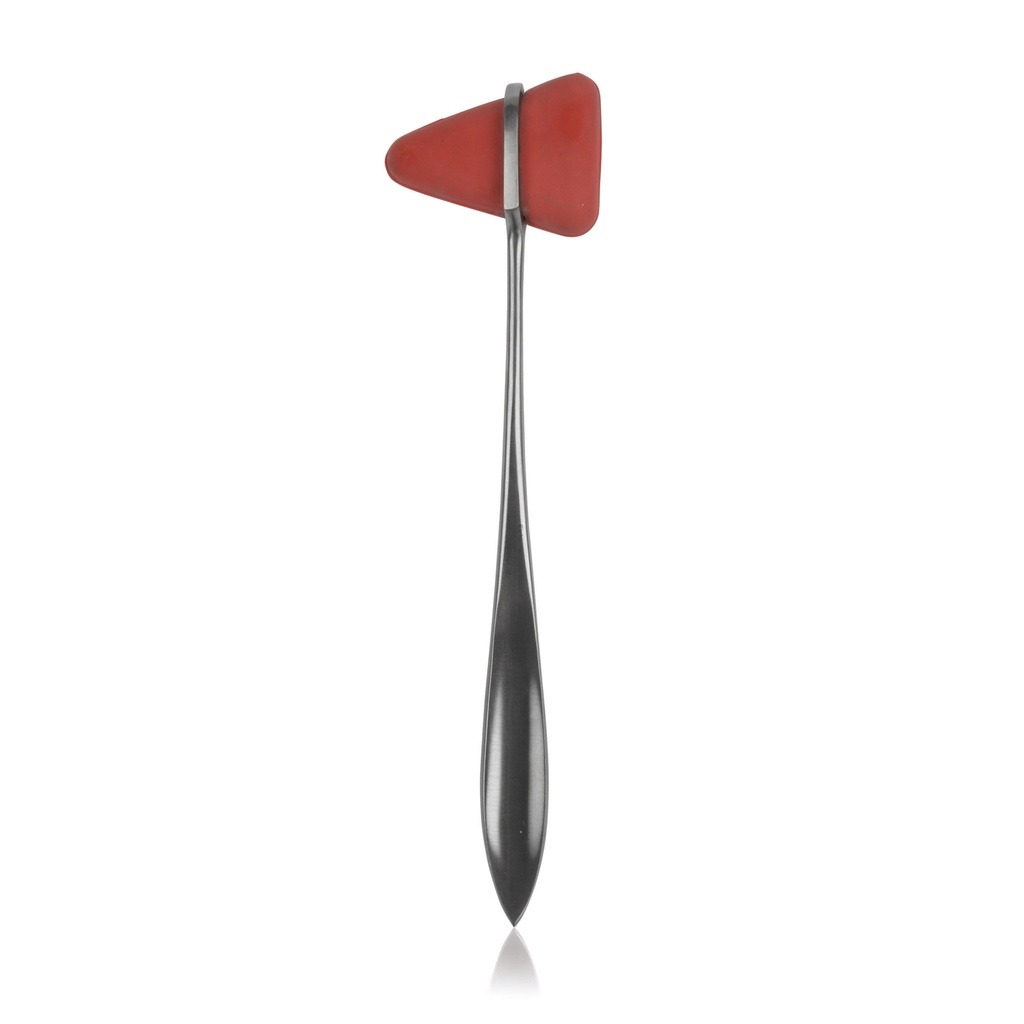 Martillo Taylor 18 cm · uso principal en caballos