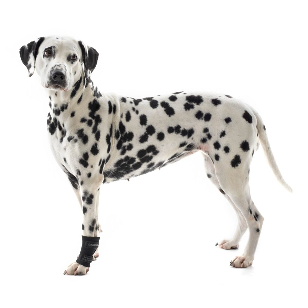 Protector carpal para perros Rehab Kruuse talla S · apoyo en rehabilitación canina