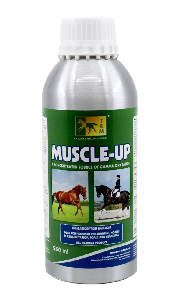 Muscle Up 960 ml · promotor muscular para caballos