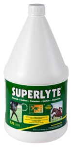 Superlyte Syrup 3,75 l · electrolitos con glucosa para caballos