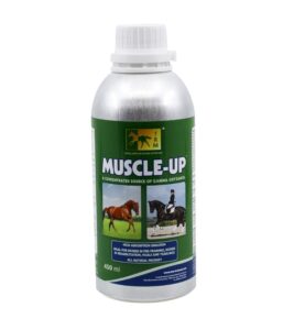 Muscle Up 450 ml · soporte muscular para caballos