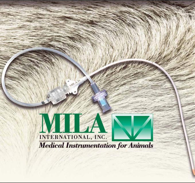 Sonda de alimentación nasogástrica Mila 2,7 × 50 cm · calibre CH08