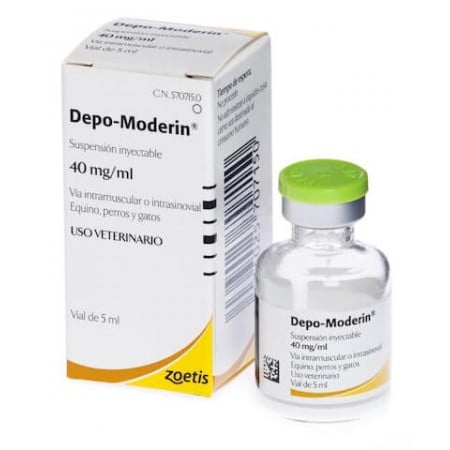 Jeringa Omnifix 3C de 2 ml, conexión luer sin látex, caja de 100 unidades