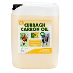 Protector de corvejón de neopreno negro Country (par) · caballos