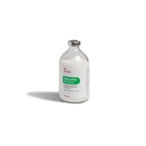 Cuero para vagina artificial Missouri Premium · reproducción equina