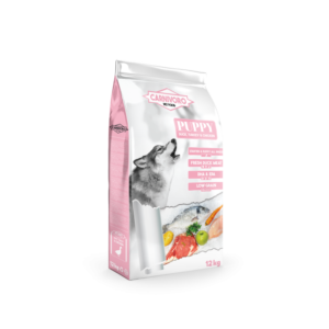 Country Dog Maintenance 15 kg · alimento premium para perros adultos de actividad moderada